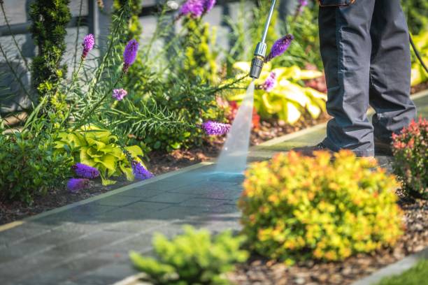 Best Dumpster Area Cleaning  in Redington Shores, FL