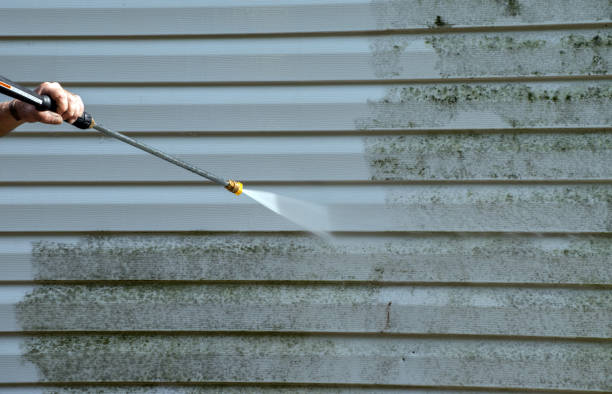 Paint Preparation in Redington Shores, FL